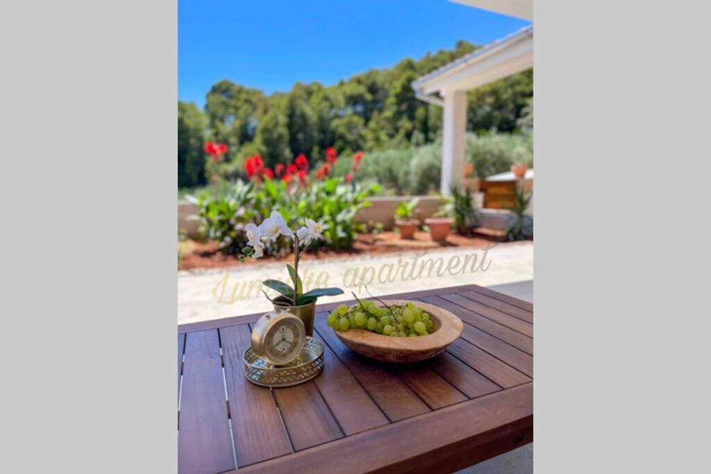 Seaview Pool Apartment-Lumiere, Island Hvar-Gdinj Eksteriør billede